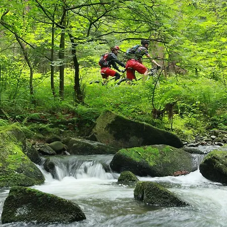 Ferienvermietung Engelstaedter