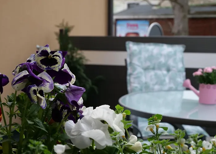 Apartment Ferienvermietung Engelstaedter *