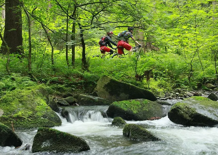 Ferienvermietung Engelstaedter